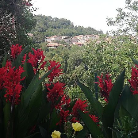 Agrifoglio B&B Con Giardino Aritzo Dış mekan fotoğraf