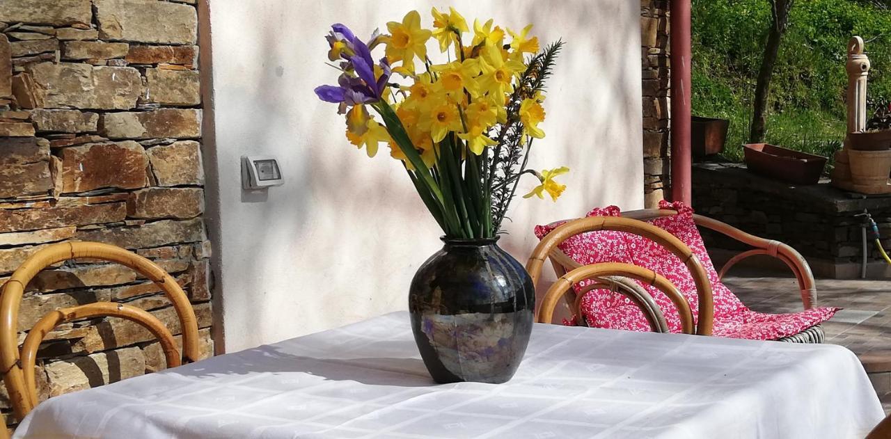 Agrifoglio B&B Con Giardino Aritzo Dış mekan fotoğraf