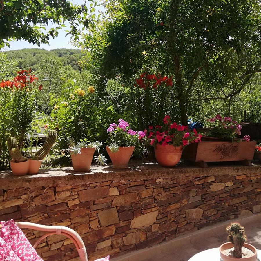 Agrifoglio B&B Con Giardino Aritzo Dış mekan fotoğraf