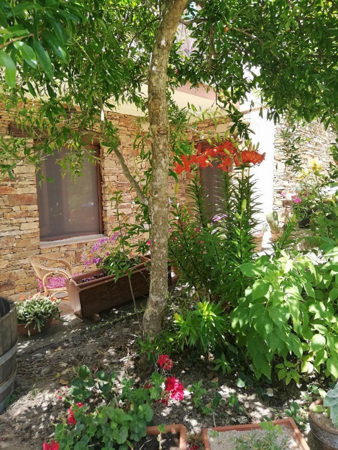 Agrifoglio B&B Con Giardino Aritzo Dış mekan fotoğraf