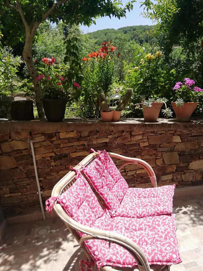 Agrifoglio B&B Con Giardino Aritzo Dış mekan fotoğraf
