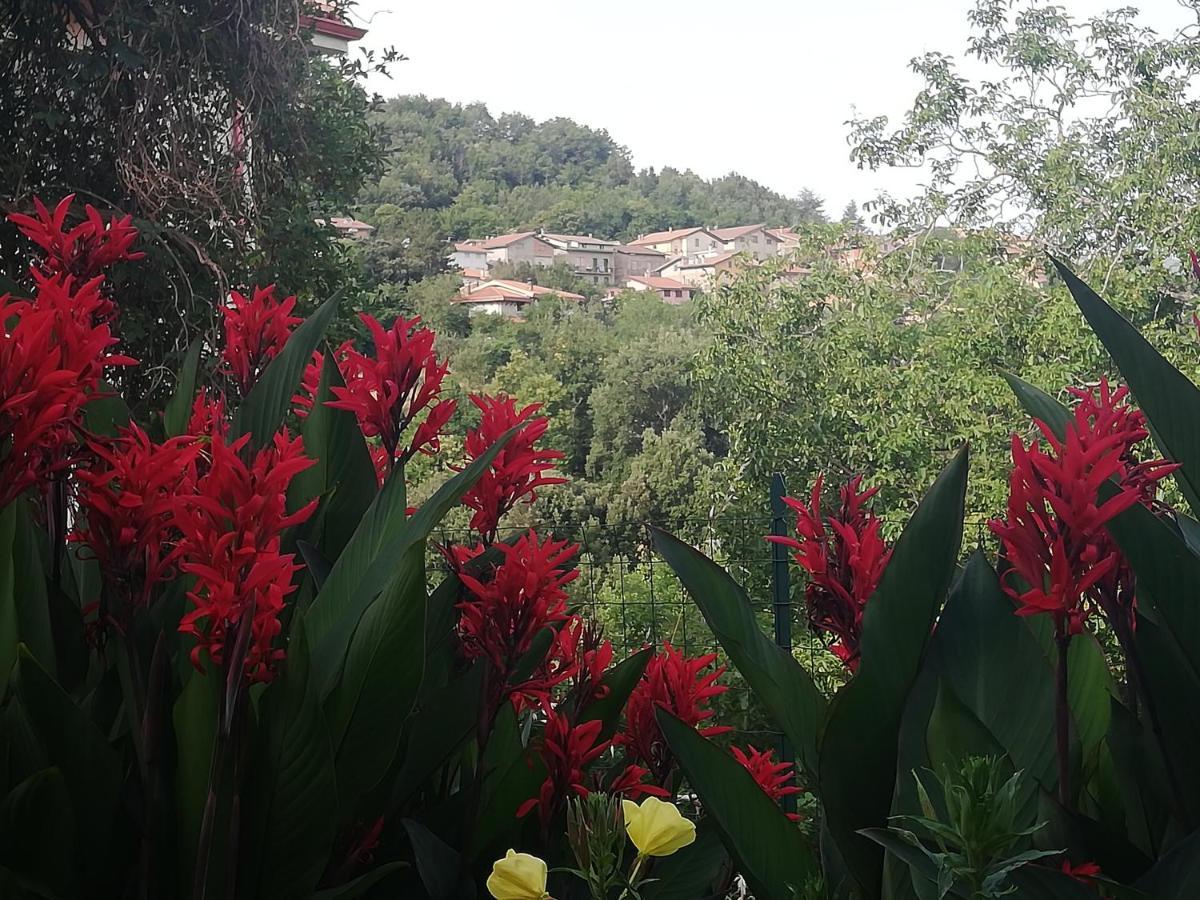 Agrifoglio B&B Con Giardino Aritzo Dış mekan fotoğraf