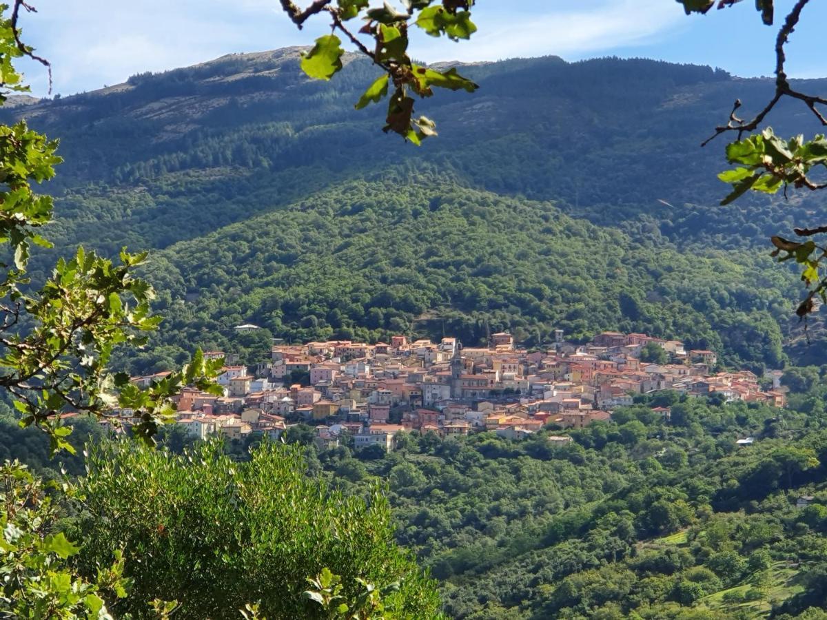 Agrifoglio B&B Con Giardino Aritzo Dış mekan fotoğraf
