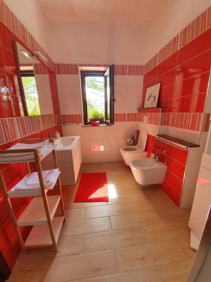Agrifoglio B&B Con Giardino Aritzo Dış mekan fotoğraf
