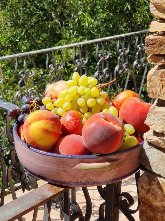 Agrifoglio B&B Con Giardino Aritzo Dış mekan fotoğraf