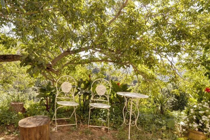 Agrifoglio B&B Con Giardino Aritzo Dış mekan fotoğraf